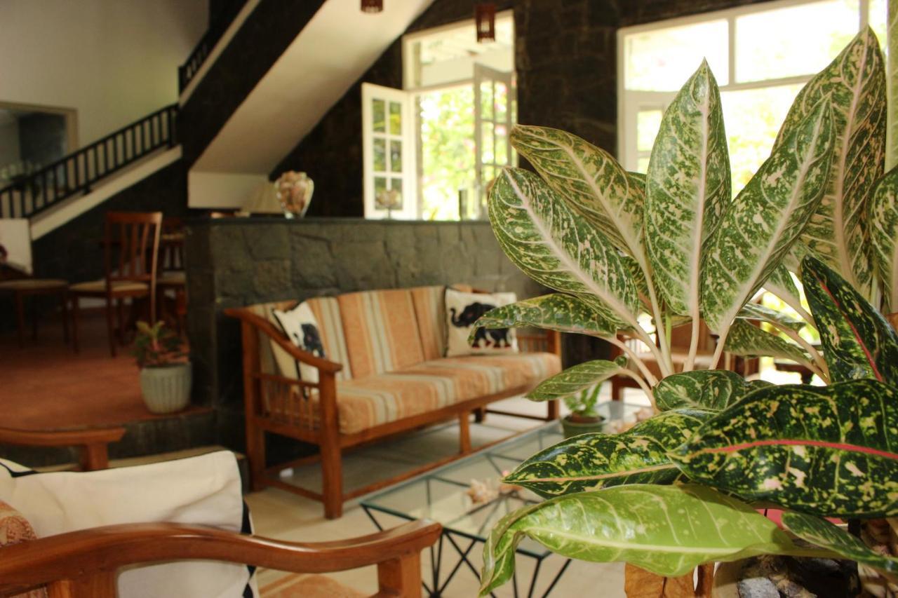 Homestay The Rock House *